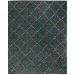 Arizona Shag Gray/Turquoise Area Rug