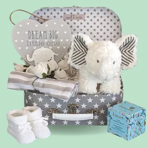 Baby Shower Hamper - Dream Big Mumma!