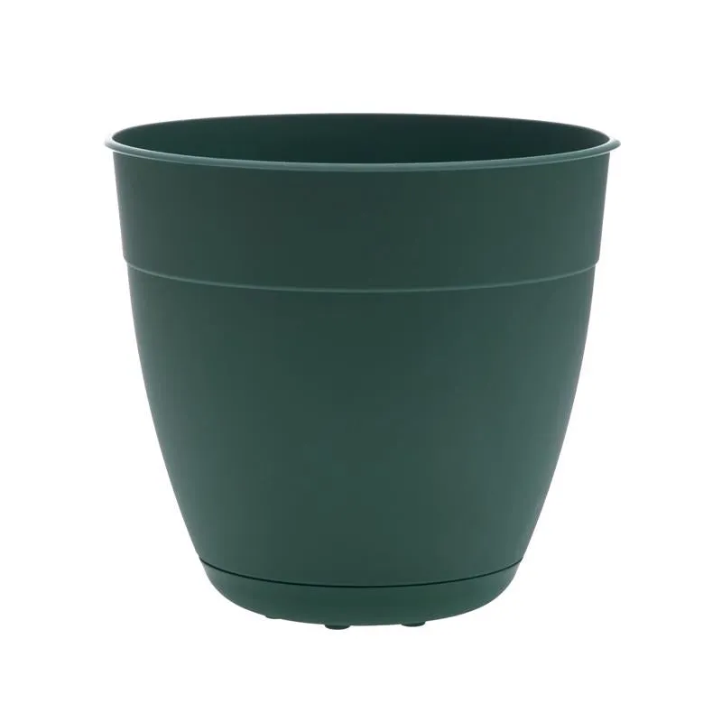 Bloem Dayton 7.5 in. H X 8 in. D Plastic Transitional Planter Turtle Green