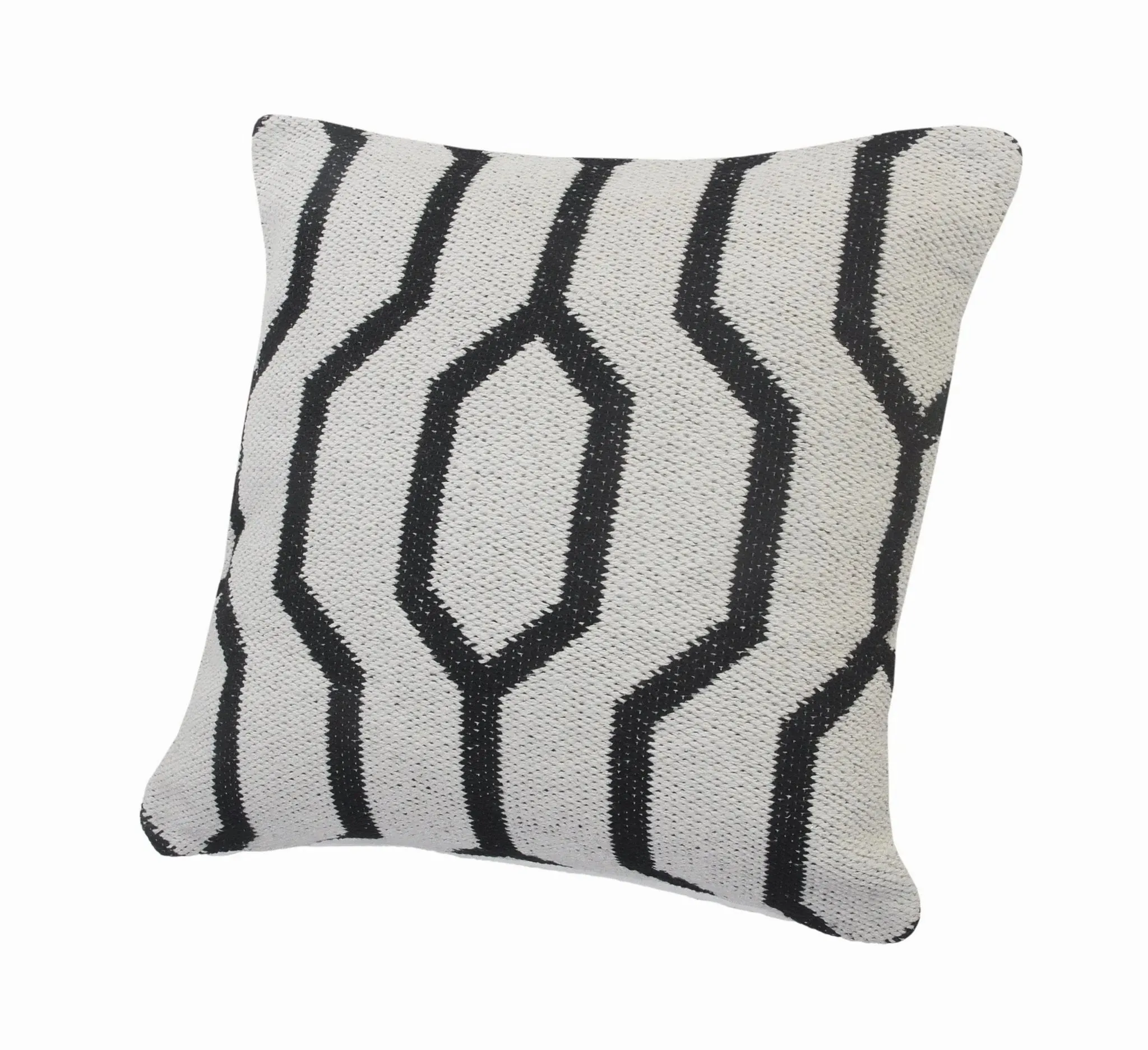 Elemental Lr07548 White/Black Pillow