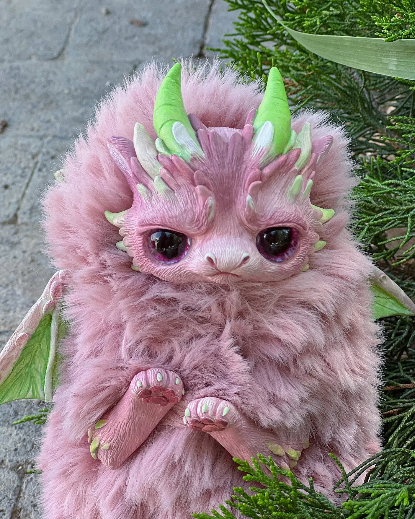 Pink Grumpy dragon