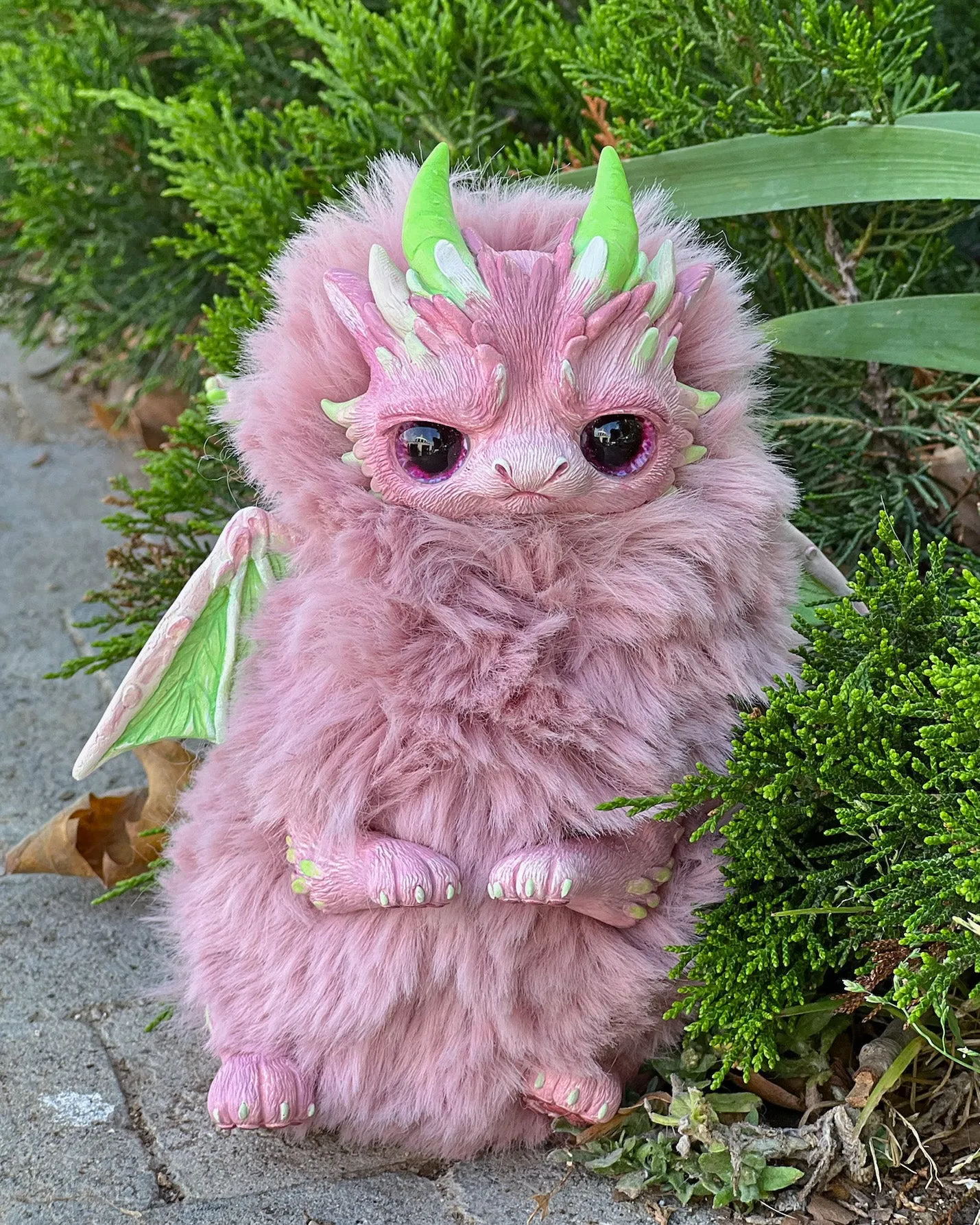 Pink Grumpy dragon