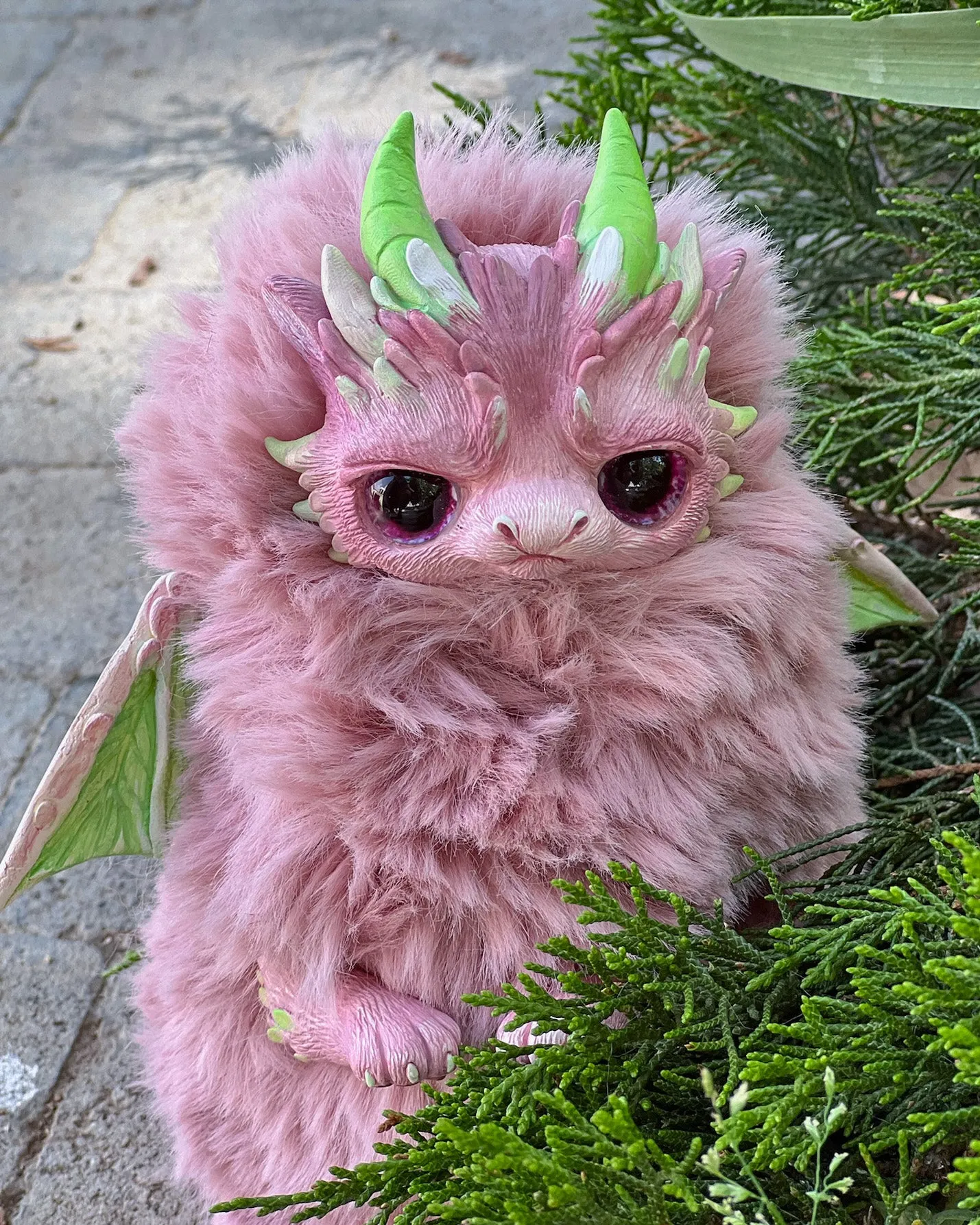 Pink Grumpy dragon